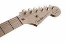 Guit. Elect. Fender Stratocaster  Eric Clapton Stratocaster, Maple Fingerboard, Black