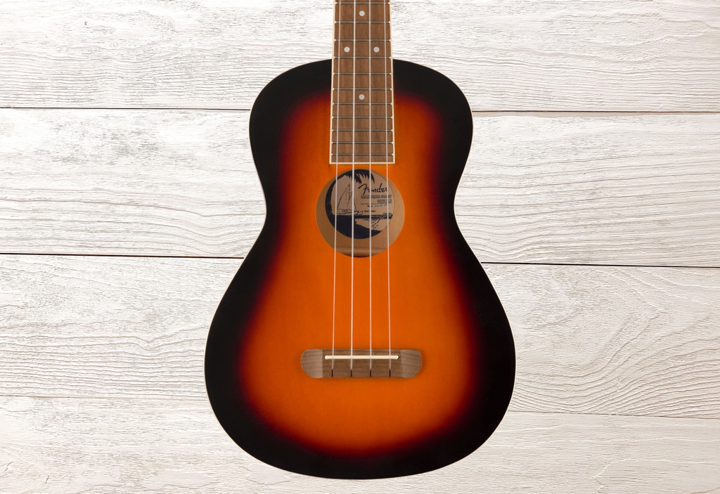 Ukelele Tenor Fender Avalon  2TS WN