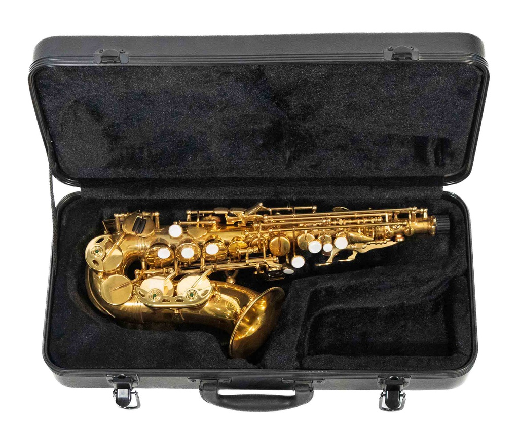 Sax Soprano Curvo En Si B Con Estuche  SSC-310GL
