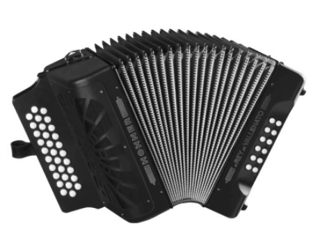 Acordeon Botones Hohner El Rey Del Vallenato Negro-- A4964S