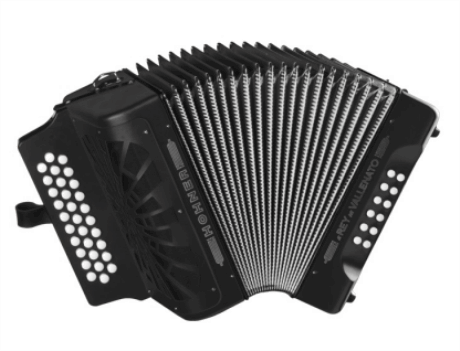 Acordeon Hohner El Rey Del Vallenato