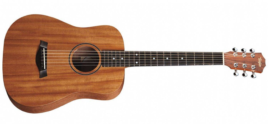 Guitarra Acustica Taylor BT2