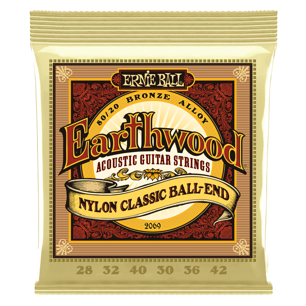 Juego De Cuerdas Para Guitarra Acustica Ernie Ball Earthwood-- 2069