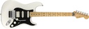 Guitarra Electrica  Player Stratocaster  Floyd Rose