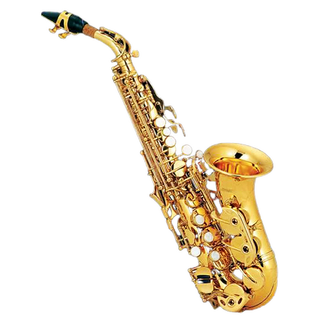 Sax Soprano Century Laqueado Curvo Bb (Sib)-- CNSX001