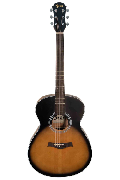 Guitarra Clasica Aria Fiesta  FSTF65 TS