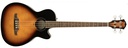 Bajo Electroacustico Fender FA450CE