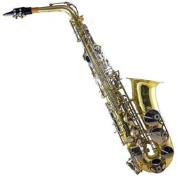 [CNSX007] Sax Alto Century Combinado Cas-200C