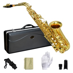 [SLSX009] Sax Alto Laqueado Eb Silvertone-- SLSX009