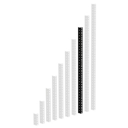 [61535B16] Perfil De Rack Adam Hall Alta Resistencia Negro 16 U