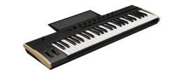 [KEYSTAGE49] Keystage poly at midi keyboard korg